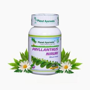 Phyllanthus Niruri Capsules